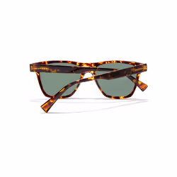 One Ls polarized #carey aligator