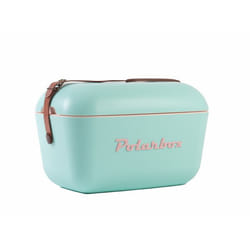 Polarbox Baby Rose Classic conteneurs thermique 20 L Cyan, Rose