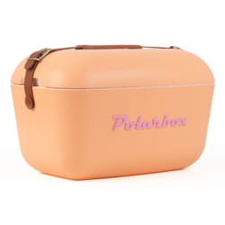 Polarbox Naranja Sorbete conteneurs thermique Boîte thermique 20 L Orange