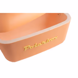Polarbox Naranja Sorbete conteneurs thermique Boîte thermique 20 L Orange