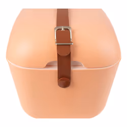 Polarbox Naranja Sorbete conteneurs thermique Boîte thermique 20 L Orange