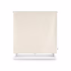 Store enrouleur Polyester Translucide 110x175