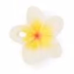 OLI et CAROL Anneau de dentition Jouet de bain Chewy-to-Go Fleur Hawaii