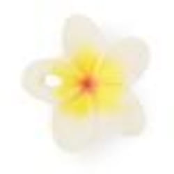 OLI et CAROL Anneau de dentition Jouet de bain Chewy-to-Go Fleur Hawaii