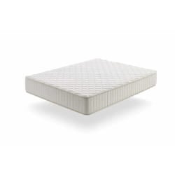 Moonia Olympus