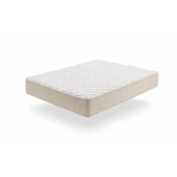 Moonia Magic Plus