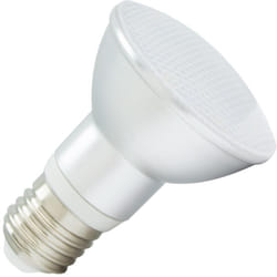 Ampoule led E27 5W 450 lm PAR20 IP65 6000K Blanc froid