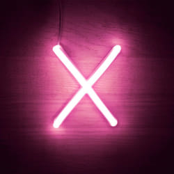 Lettres Néon led Rose x Rose