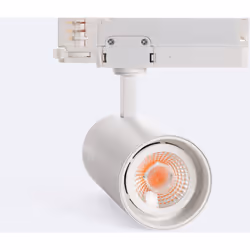 Le Spot LED 30W pour Rail Triphasé Spécial Boucherie offre un éclairage optimal pour mettre en avant la fraîcheur et la quali ...
