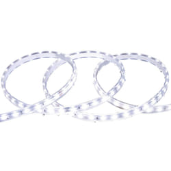 Efectoled - Ruban led Dimmable 220V smd 60 LED/m Blanc Froid 6W/m 600lm/m Largeur 12mm Coupe 20cm IP65 Sur mesure 25 m