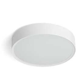 Efectoled - Plafonnier led 17W cct Ø300 mm Sfere Avec Mode Nuit Sélectionnable (chaud-neutre-froid)