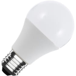 Ampoule led 12/24V E27 6W 600 lm A60 No Flicker 3000K Blanc chaud