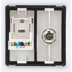Prise RJ45 CAT 6 Internet + TV Mâle Moderne Blanc