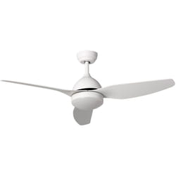 Ventilateur de Plafond Silencieux Woolworth Blanc 127cm Moteur dc Télécommande Avec lumière