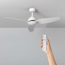Ventilateur de Plafond Silencieux Woolworth Blanc 127cm Moteur DC Télécommande Sans lumière