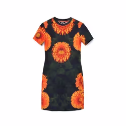 Robe femme Desigual Alma