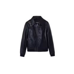 Blouson cuir Desigual Helsinki