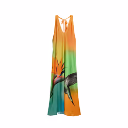 Robe femme Desigual Colibrî