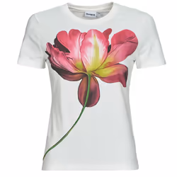 T-shirt femme Desigual Plata
