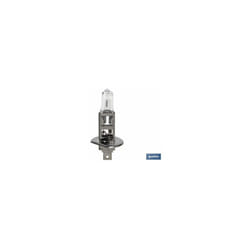 Lampe halogène Cofan h1 (p14.5s) 12v 55w
