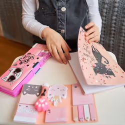 Hard Case minou 1 u
