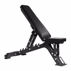 Banc Multifonction ION Fitness IF524 - 7 Positions différentes - Domestique et Semi-Pro
