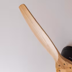 Cecotec EnergySilence Aero 5400 Bois, Noir - Vue supplémentaire 5