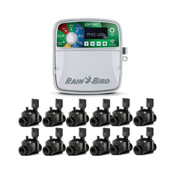 Programmateur automatique d'arrosage Electrique ESP-TM2 12 zones intérieur Rain Bird 12 Electrovannes 100HV 24V 1''