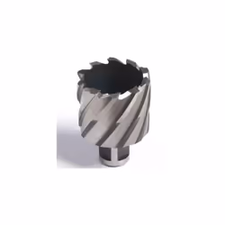Fraise à carotter courte 25 mm pour perceuse magnétique, diamètre 16 mm, avec embranchement standard Weldon 19. Commandez l'é ...