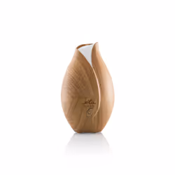 Eta Aria diffuseur aromatique Réservoir Bois