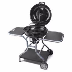 Fieldmann FZG 1014 Grill Charbon de bois (combustible) Noir, Acier inoxydable