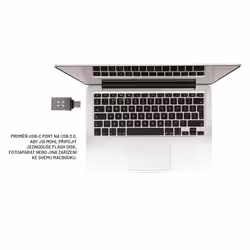 FIXED FIXA-UC-GR changeur de genre de câble USB-C USB-A Gris - Vue supplémentaire 4