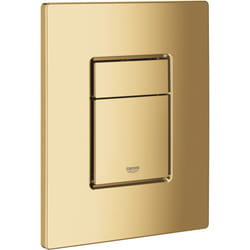 Skate Cosmopolitan Plaque de commande, Cool Sunrise (38732GL0) - Grohe
