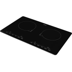 ECG IV 2920 Slim Noir Intégré Plaque avec zone à induction 2 zone(s)