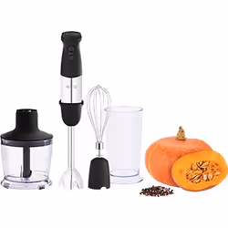 ECG RM 750 blender 0,6 L Mélangeur par immersion 750 W Noir