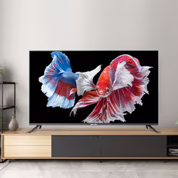 CHiQ U50QM8V TV 127 cm (50") 4K Ultra HD Smart TV Gris, Argent 350 cd/m² - Vue supplémentaire 11