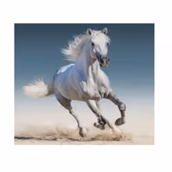 Housse de coussin - Cheval - 40 x 40 cm - Blanc - 100% polyester - Intérieur
