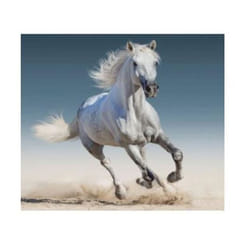 Housse de coussin - Cheval - 40 x 40 cm - Blanc - 100% polyester - Intérieur