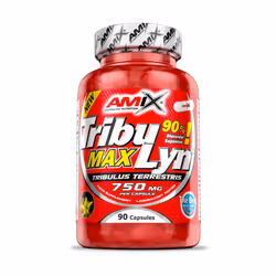 Amix Nutrition 8594159532427, Adulte