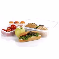 Tescoma 892066 boîte hermétique alimentaire Rectangulaire 1,5 L Transparent