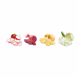 Tescoma 643852 trancheuse Manuel Vert, Blanc Plastique