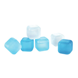 Tescoma 420709 glaçon réutilisable Bleu