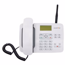 Aligator T100 téléphone portable Blanc