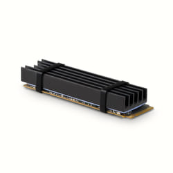 Axagon CLR-M2L10 système de refroidissement d’ordinateur Disque électronique Dissipateur thermique/Radiateur Noir