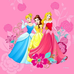Coussin - DISNEY - Princesses - 40x40 cm - Rose - Intérieur - Enfant