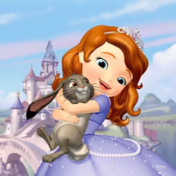 Coussin - Disney - Princesse Sofia - 40 cm x 40 cm - Multicolore - Intérieur