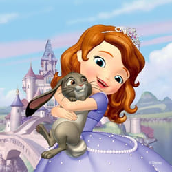 Coussin - Disney - Princesse Sofia - 40 cm x 40 cm - Multicolore - Intérieur