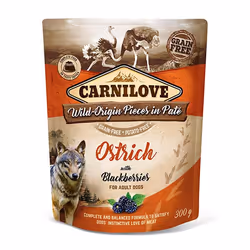 Brit 8595602537655, Adulte, Autruche, 300 g