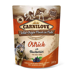 Brit 8595602537655 pâtée pour chien Autruche Adulte 300 g
