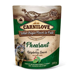 Brit 8595602537662 pâtée pour chien Faisan Adulte 300 g